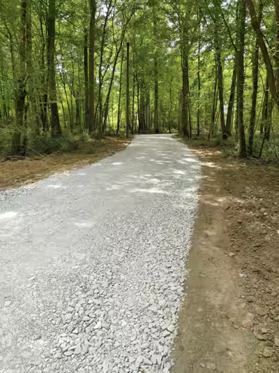 Piste forestière après