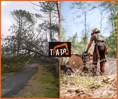 [ SERVICE APRÈS TEMPÊTE ! ]
