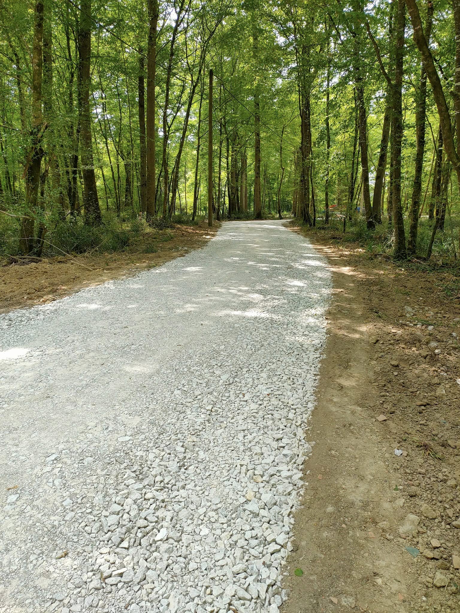 Broyage de végétaux et copeaux : gestion des déchets verts en Landes
